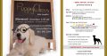 Professional Dog Training | GoodPet | Puppy COURSE – Glenwood