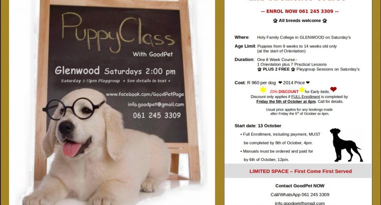 Professional Dog Training | GoodPet | Puppy COURSE – Glenwood