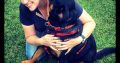 Professional Dog Training | GoodPet | Puppy COURSE – Glenwood