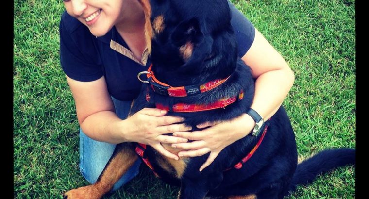 Professional Dog Training | GoodPet | Puppy COURSE – Glenwood