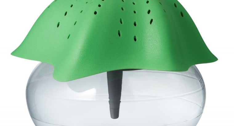 starfish air purifier