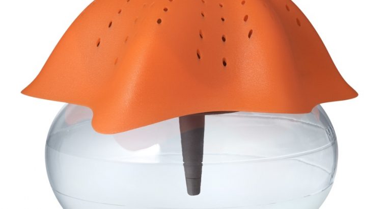 starfish air purifier