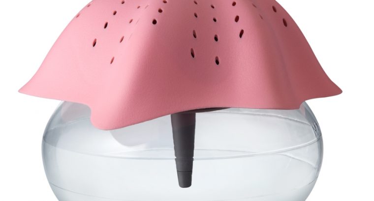 starfish air purifier