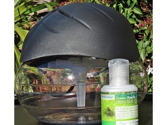bliss air purifier
