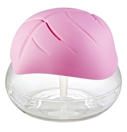 bliss air purifier