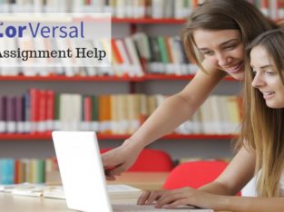 Get the Best assignment writing help
