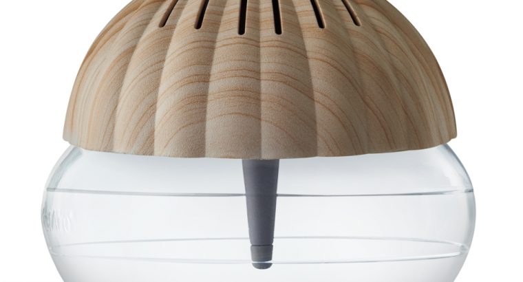seashell air purifier