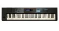 Roland JUNO-DS88 Stage Performance Bundle