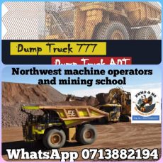 Profile Pic