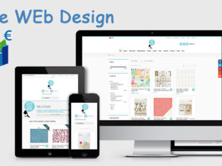 105303 E-COMMERCE WEBSITE