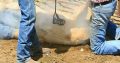 Animal Mark Identification Registrations from R499