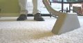 Carpet and Upholstery Cleaning Services