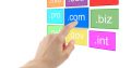 Domain Name Registrations R99