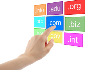 Domain Name Registrations R99