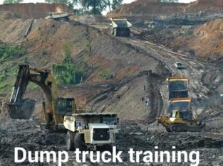 EXCAVATOR,MOBILE CRANE,GRADER,BOILER MAKER,DUMP TRUCK,TOWER CRANE