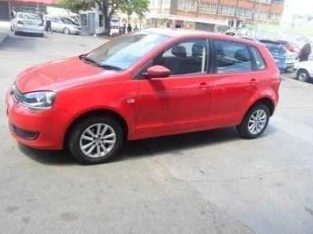 polo vivo