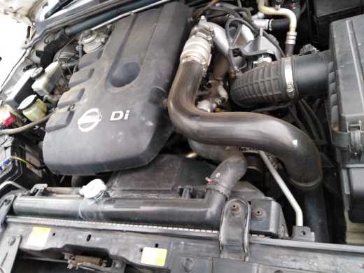 Nissan navara