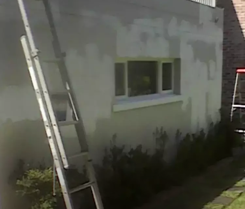 Professional painter and eletrician