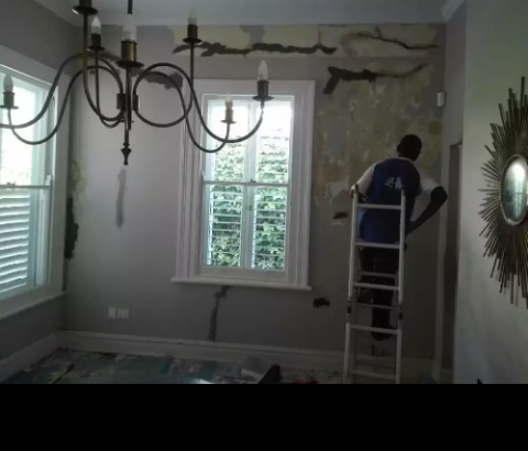 Professional painter and eletrician