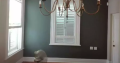 Professional painter and eletrician