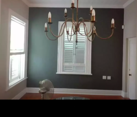 Professional painter and eletrician