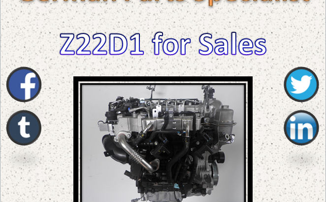 Z22D1 Engine for Sale