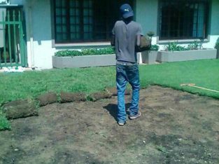 Instant Lawn For Sale and landscaping services