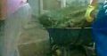 Natural Grass Instant Lawn And Landscaping Services