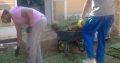 Natural Grass Instant Lawn And Landscaping Services