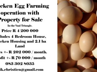 Chicken Egg Farming in Vaal Triangle.
