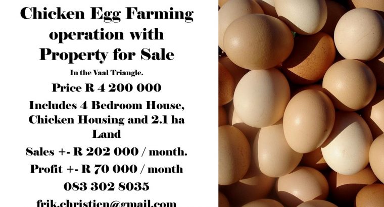Chicken Egg Farming in Vaal Triangle.
