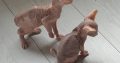 Hairless Sphynx Cat