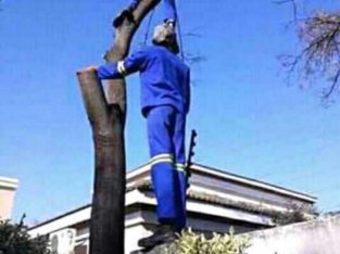 TREE FELLING, IRRIGATION & LANDSCAPING SERVICES