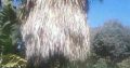 TREE FELLING, IRRIGATION & LANDSCAPING SERVICES