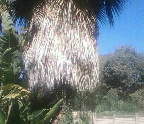 TREE FELLING, IRRIGATION & LANDSCAPING SERVICES