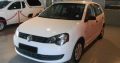 Polo vivo for sale