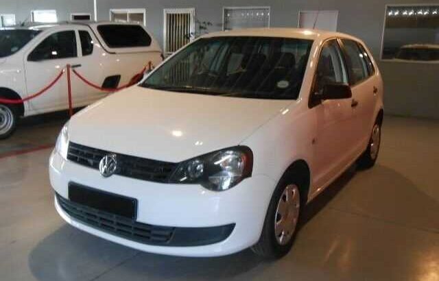 Polo vivo for sale