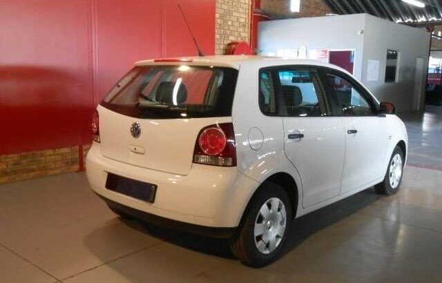 Polo vivo for sale