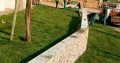 TREE FELLING AND INSTANT LAWN SERVICES