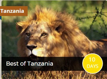 africa safaris and tours