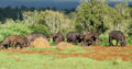 Abroad volunteer Programs | africansafetravels