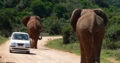 Abroad volunteer Programs | africansafetravels