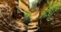Abroad volunteer Programs | africansafetravels