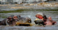 best african safari tours