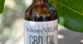 CBD Hemp Oil