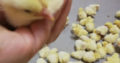 Ross 308 A-Grade Broiler chickens suppliers