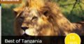 best african safari tours
