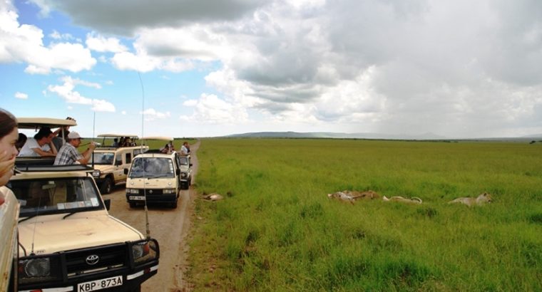 best african safari tours