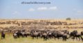 best african safari tours