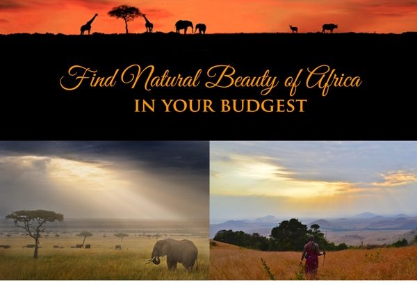 Get The Best Tanzania Safari Packages